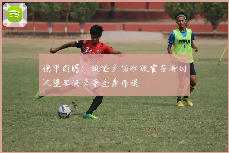 德甲前瞻：狼堡主场难敌霍芬海姆汉堡客场力争全身而退